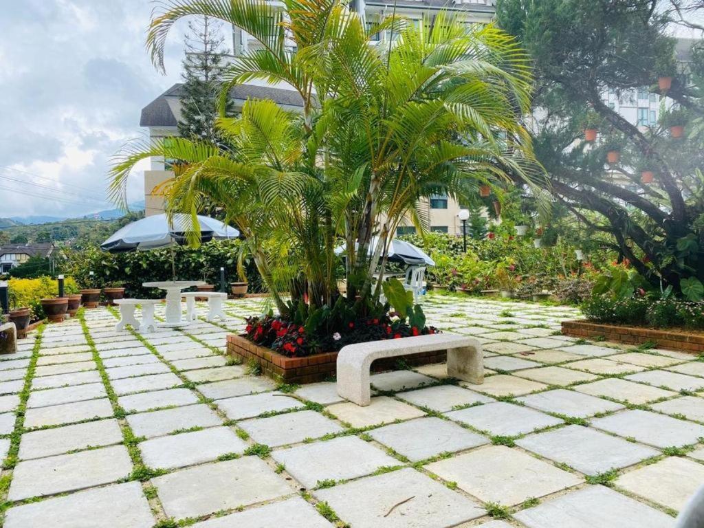 Hillview Inn Cameron Highlands Promo Tanah Rata Exterior photo